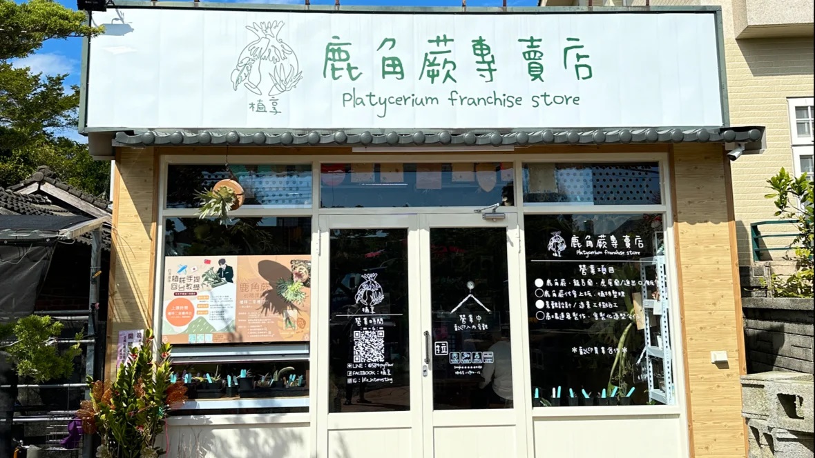 植享鹿角鹿角蕨專賣店.jpg